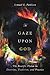 To Gaze upon God: The Beatific Vision in Doctrine, Tradition, and Practice