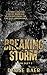 Breaking Storm: A Dark Chicago Underworld Romantic Suspense (Storm Duet 1) (A Dark Chicago Underworld Romantic Suspense (Storm Duet))