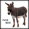 nice ass funny photo: Nice Ass ththth8e36918b.gif