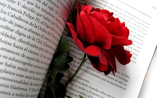  photo red_rose_flowers_in_book-wide.jpg