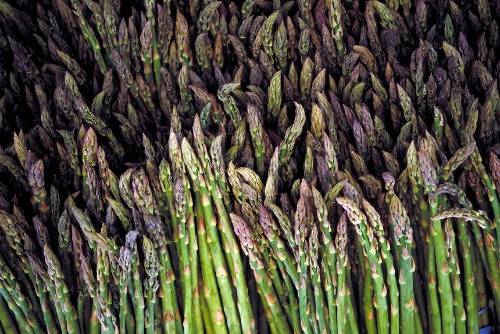  photo Asparagus_zps76aa42d0.jpg