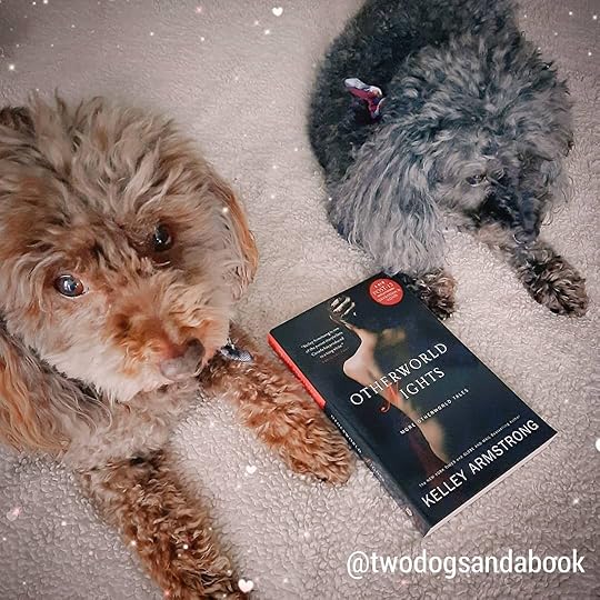 Two small dogs lying on a fluffy blanket with a softcover book