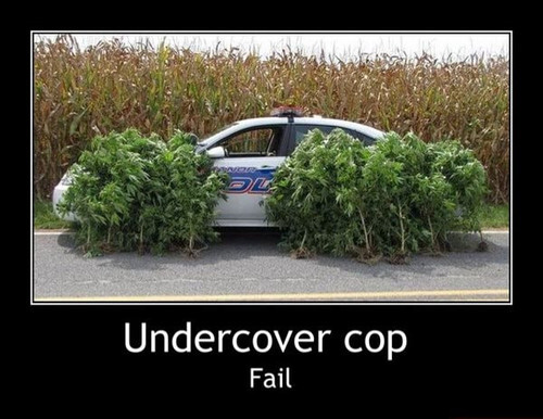 undercover cop fail