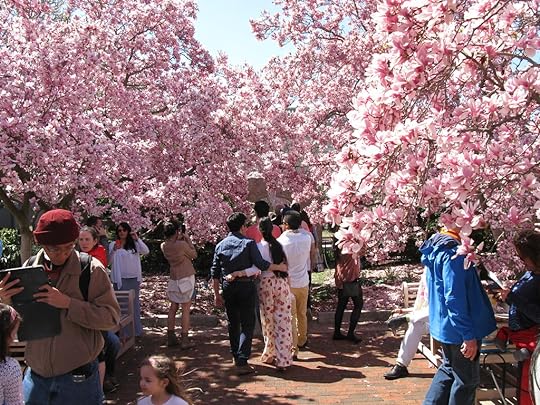 Washington DC - April 2015