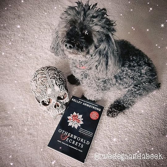 A small dog is sitting on a fluffy blanket. A softcover book is in front of her and a decorative human skull is to her right.