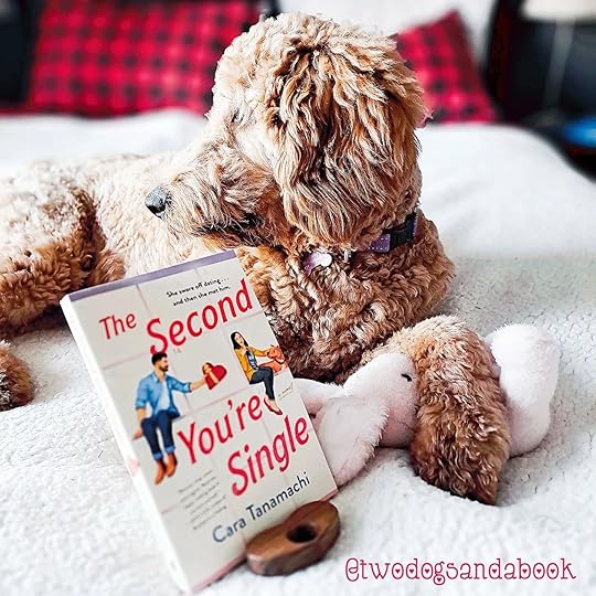 A Golden Doodle is lying on a bed with a softcover book in front her her and a stuffed rabbit under her right paw. The book is The Second You're Single by Cara Tanamachi.