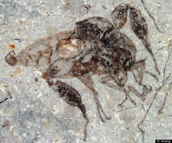 dinosaur parasites