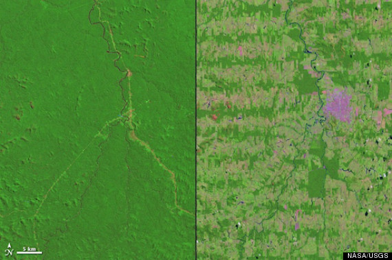 Amazon Deforestation Nasa Images Show The Great Rainforest Disappearing Huffpost Impact