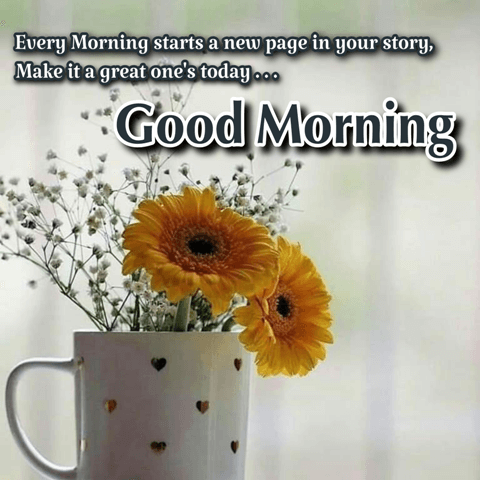 Best Good Morning Quotes in English, Good Morning Wishes with Flowers image.