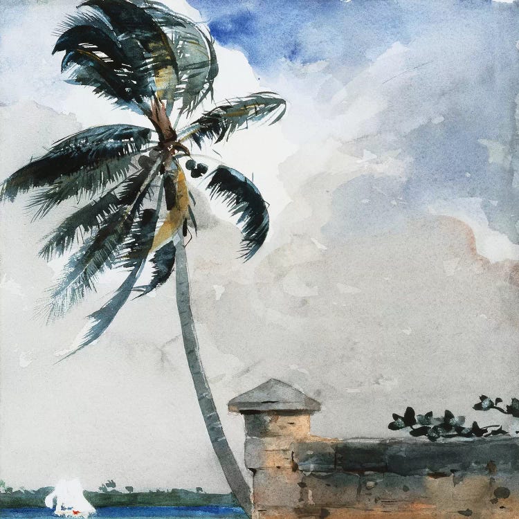 A Tropical Breeze, Nassau, 1889-90 