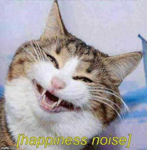 Happiness Noise Cat Blank Template - Imgflip