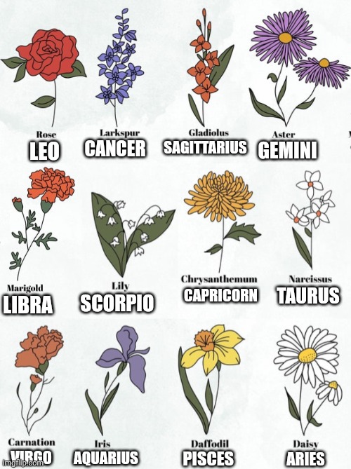 ZODIAC FLOWERS - Imgflip