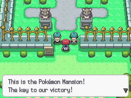 Pokemon platinum randomizer rom windows - ludaglobal