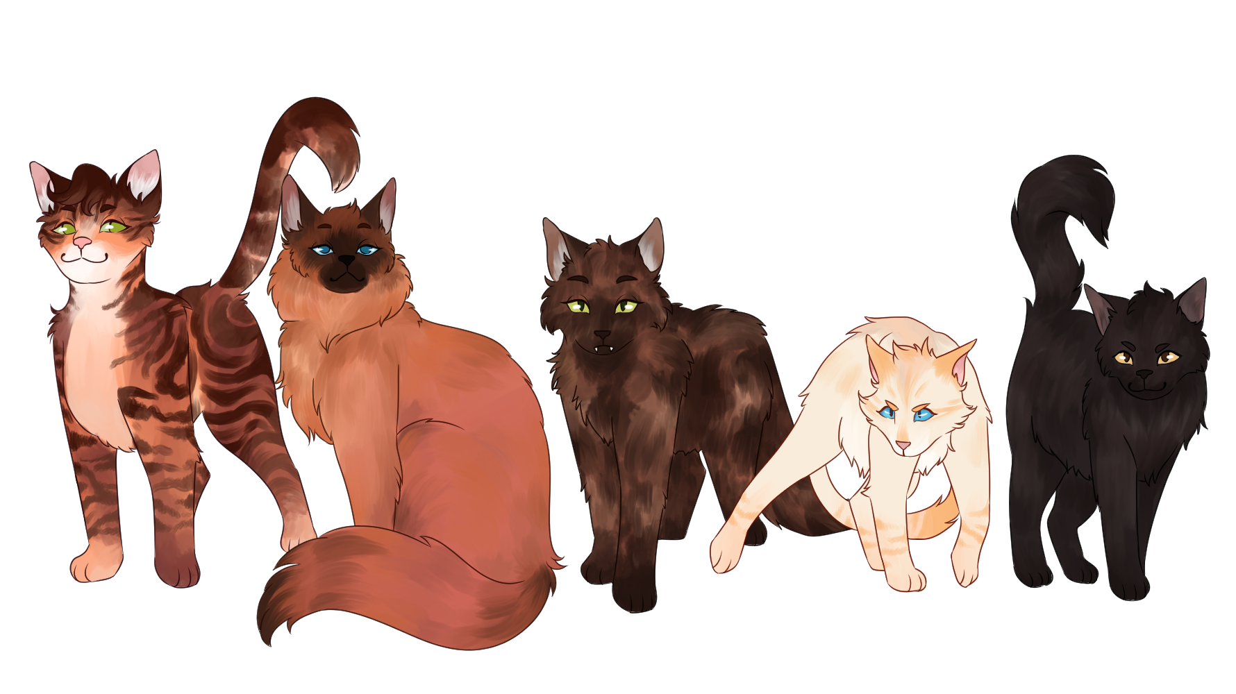 pantherkit of windclan (perma npc)