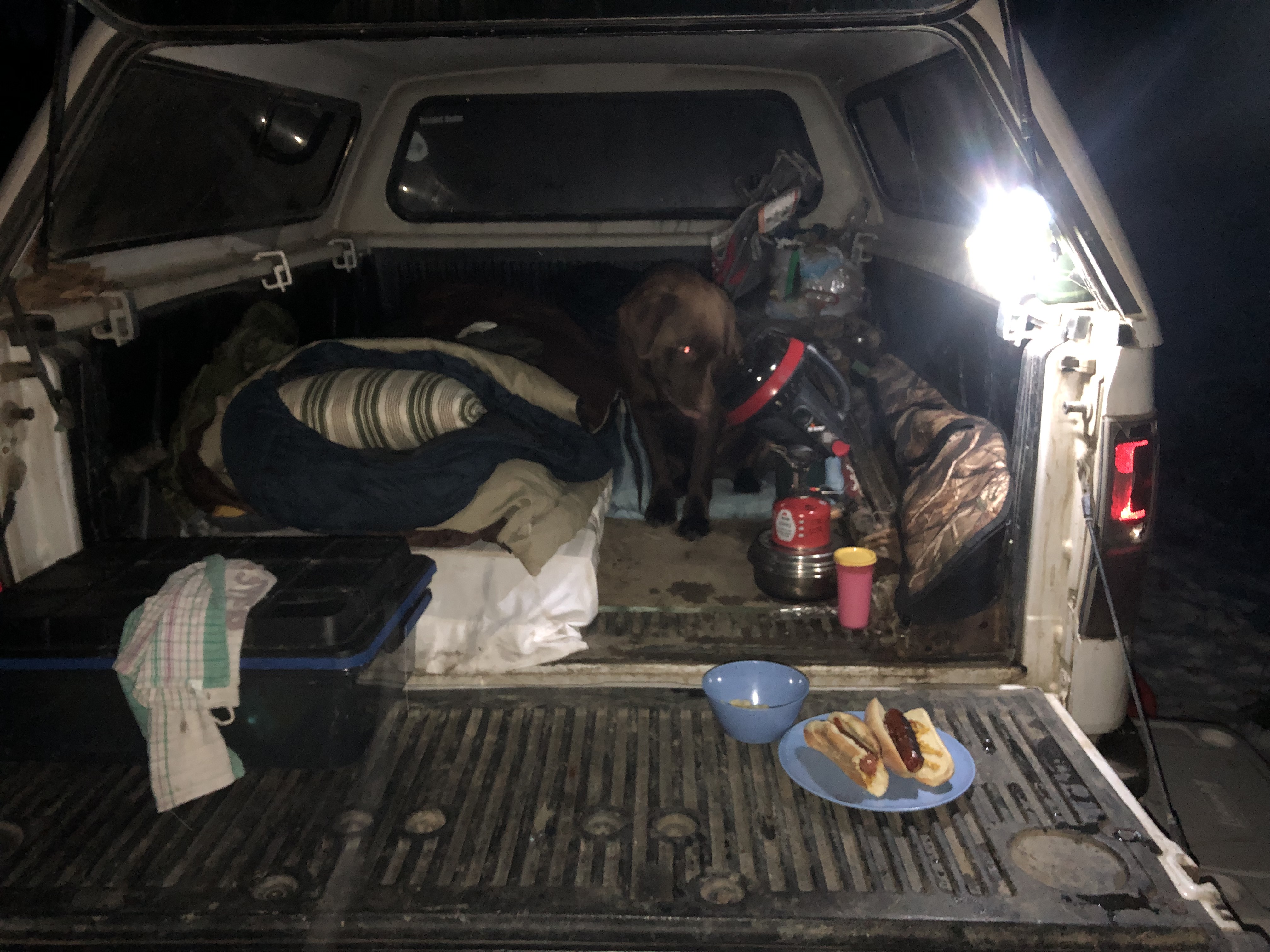 Sleeping in the back of your truck?