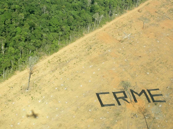 Photos Show How Much Worse Fires Have Gotten In Amazon Rainforest