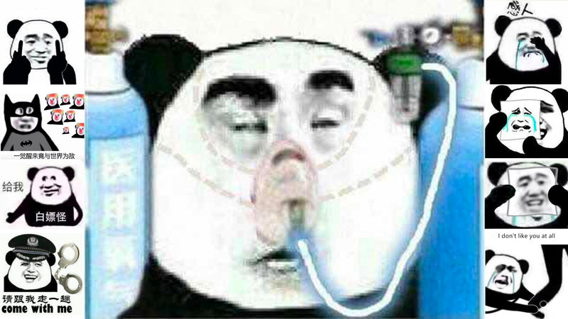 Chinese Panda Reaction Images and Memes Explained