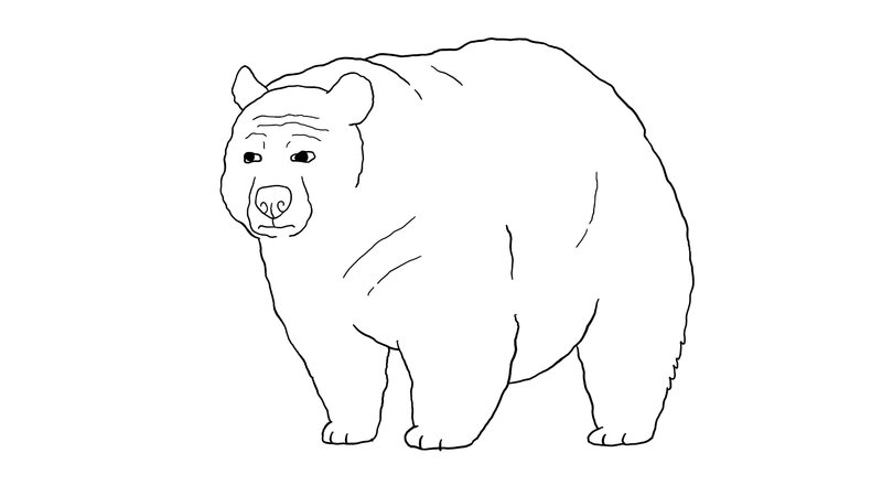 Bearjak meme format and character depicting a wojak with a bear face.