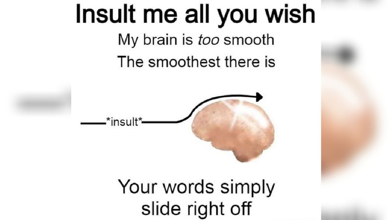 Insult Me All You Wish My Brain Is Too Smooth meme.