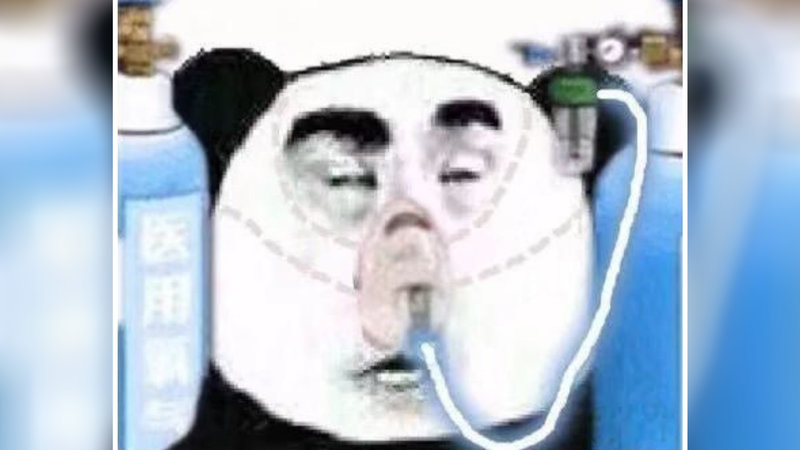 Chinese Panda Oxygen Mask meme
in Hospital
Life Support
Copium