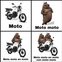 Moto Moto moto Moto moto en moto con moto moto Moto moto en moto