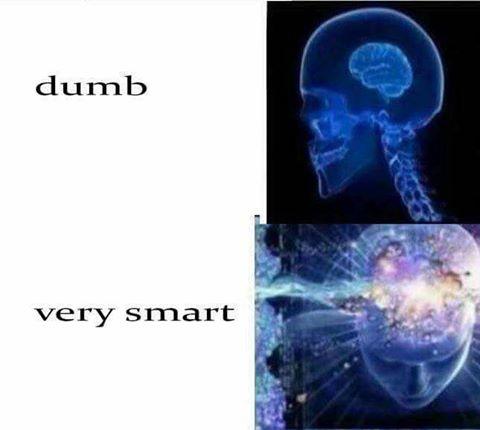 dumb very smart