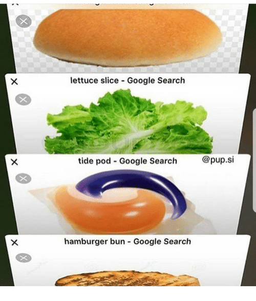 lettuce slice Google Search tide pod - Google Search @pup.si hamburger bun Google Search