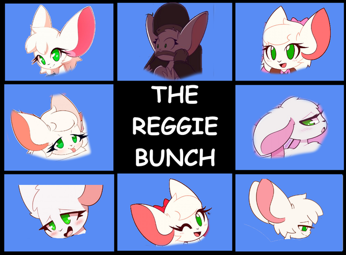 THE REGGIE BUNCH