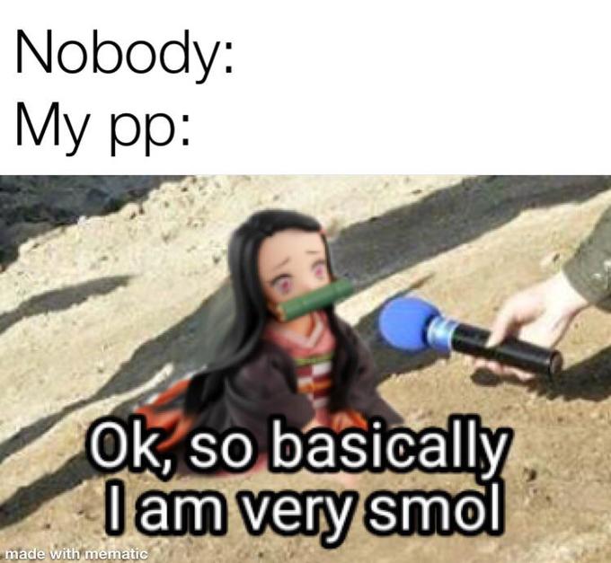 Nobody: My pp: Ok, so basically lam very smol made with mematic