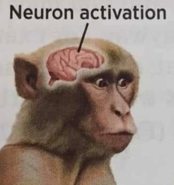 Neuron activation