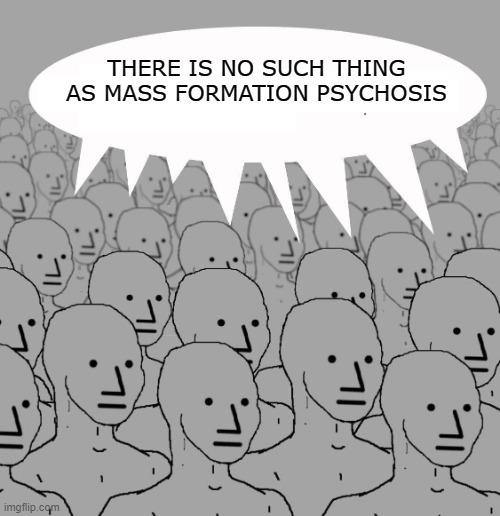 THERE IS NO SUCH THING AS MASS FORMATION PSYCHOSIS imgflip.com