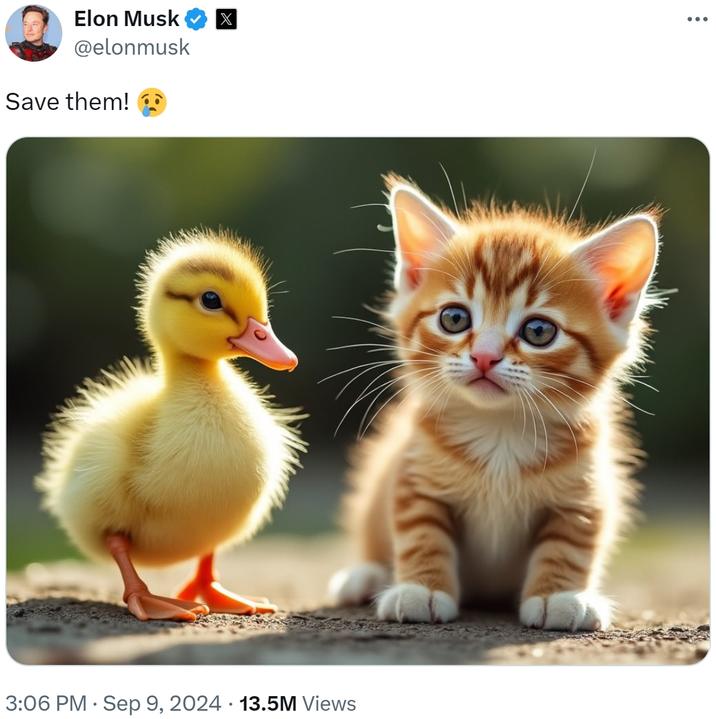 Elon Musk @elonmusk Save them! X • 3:06 PM Sep 9, 2024 13.5M Views •