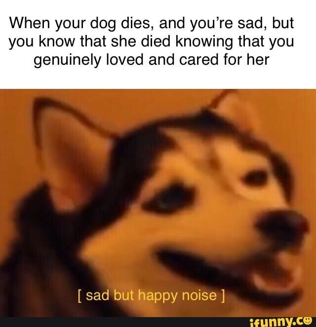 When your dog dies | Happiness Noise | Know Your Meme