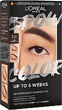 L'Oreal Paris Brow Color Semi-Permanent Eyebrow Tint Brow Coloring Set