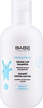 Cradle Cap Shampoo for Dry Hair Babe Laboratorios Cradle Cap Shampoo