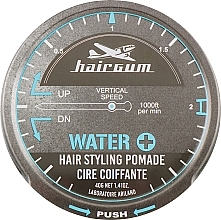 دهن التصفيف المائي Hairgum Water+ Hair Styling Pomade	