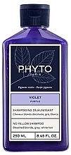 Anti-Yellow Shampoo Phyto Purple No Yellow Shampoo