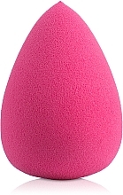 Makeup Sponge Pierre Rene