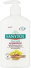 Liquid Soap "Nourishment" Sanytol