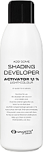 Activator Grazette Add Some Shading Developer Activator 1,1%