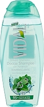 Gel douche-shampooing, 2 en 1, Rafraîchissant Vidal Shower Shampoo