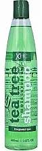 Haar Shampoo Xpel Marketing Ltd Tea Tree Shampoo