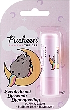 Gommage pour lèvres Pusheen Lip Scrub Blueberry