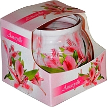 Kerze im Glas Admit Candle In Glass Cover Amaryllis