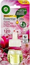 Elektrischer Lufterfrischer Magnolie und Kirschblüte Air Wick Essential Oils Electric Magnolia And Cherry Blossom 