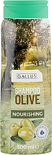 Haarshampoo mit Olivenöl Gallus Olive Shampoo