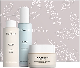 Набор Flanerie Christmas Set Night Spa at Home Routine (f/cr/45ml + f/gel/100ml + f/mask/100ml)