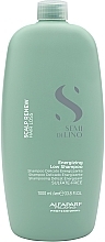 Шампунь для слабых и склонных к выпадению волос Alfaparf Semi De Lino Scalp Renew Energising Low Shampoo