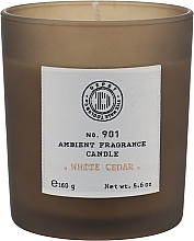 Αρωματικό κερί με άρωμα λευκού κέδρου Depot 901 Ambient Fragrance Candle White Cedar