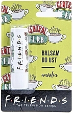 Бальзам для губ "Ваниль" Friends Vanilla Lip Balm